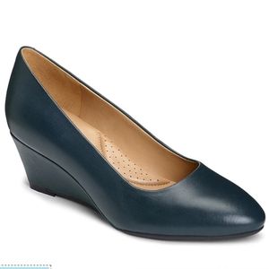 Aerosols Inner Circle Wedge Pump